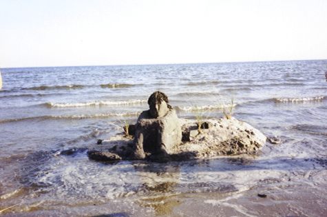 13a.jpg (31294 bytes)
